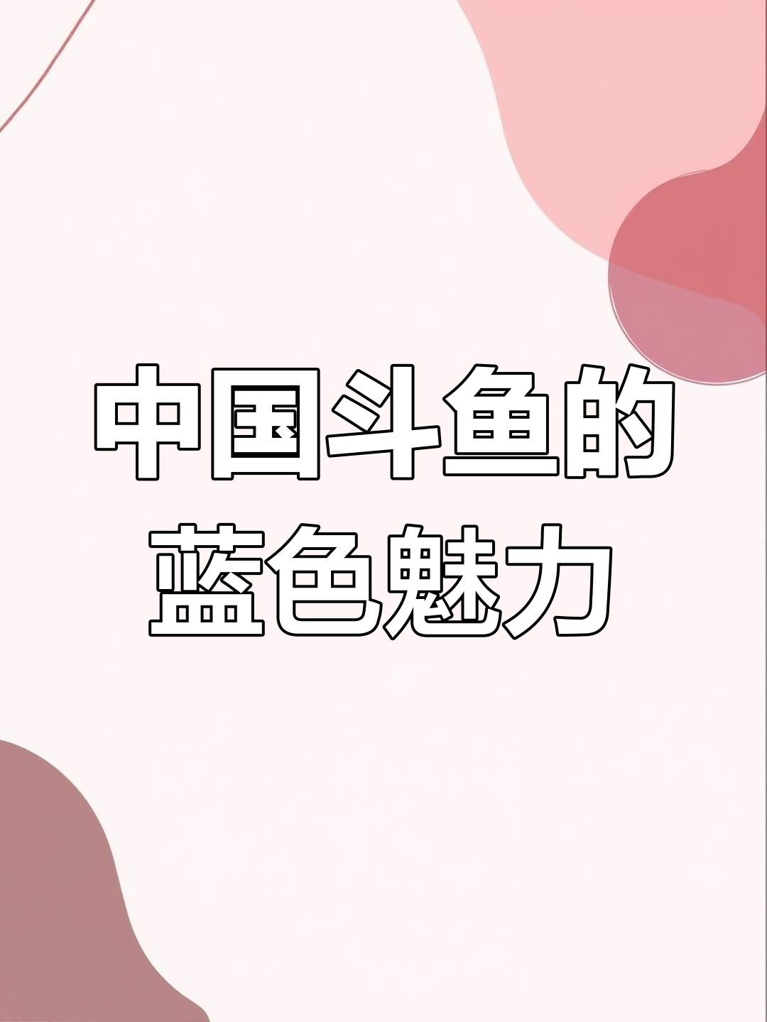 斗鱼品种大揭秘:巨浦蓝、火焰红等哪种最适合你?