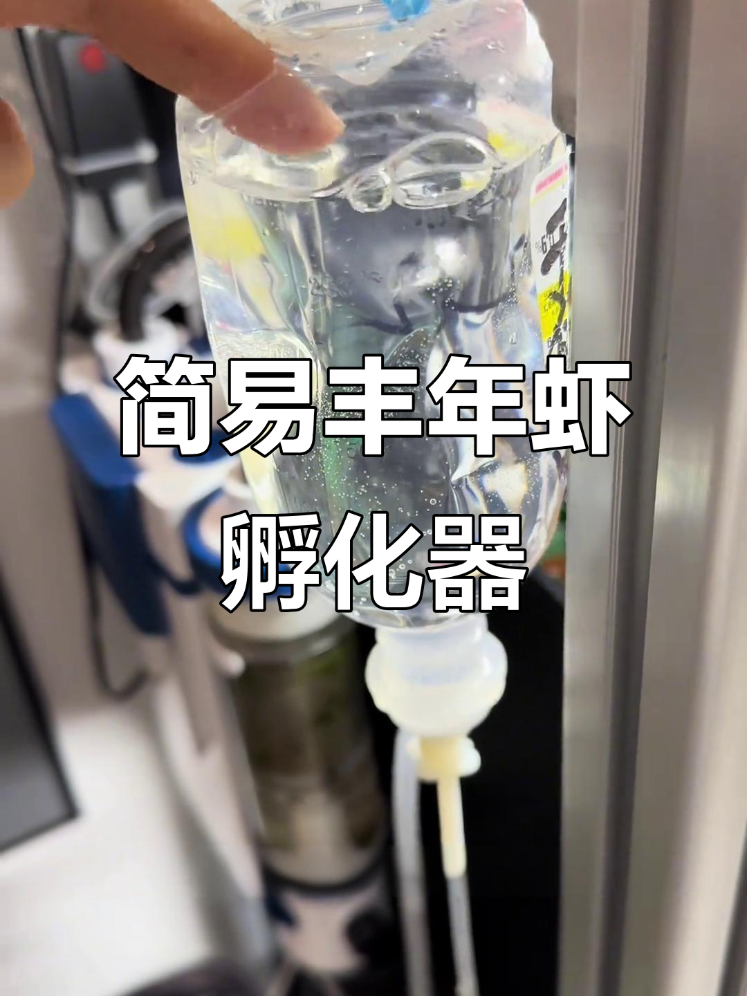 用废旧吊瓶改造丰年虾孵化器,简单又高效