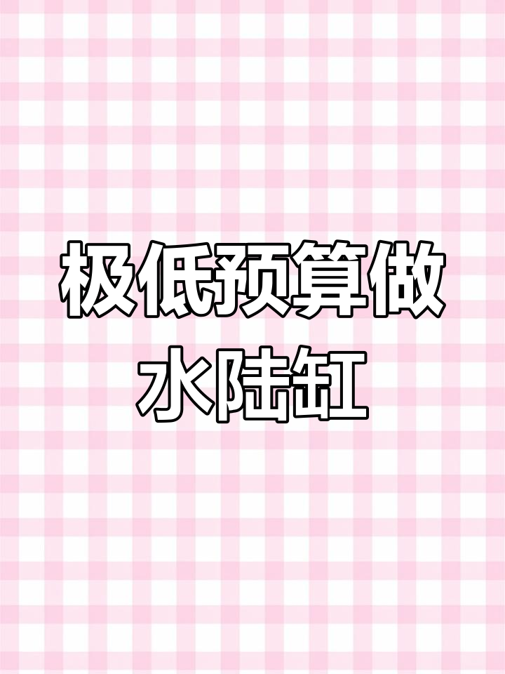 低成本打造大气室内水陆景观,鱼池假山教程全解