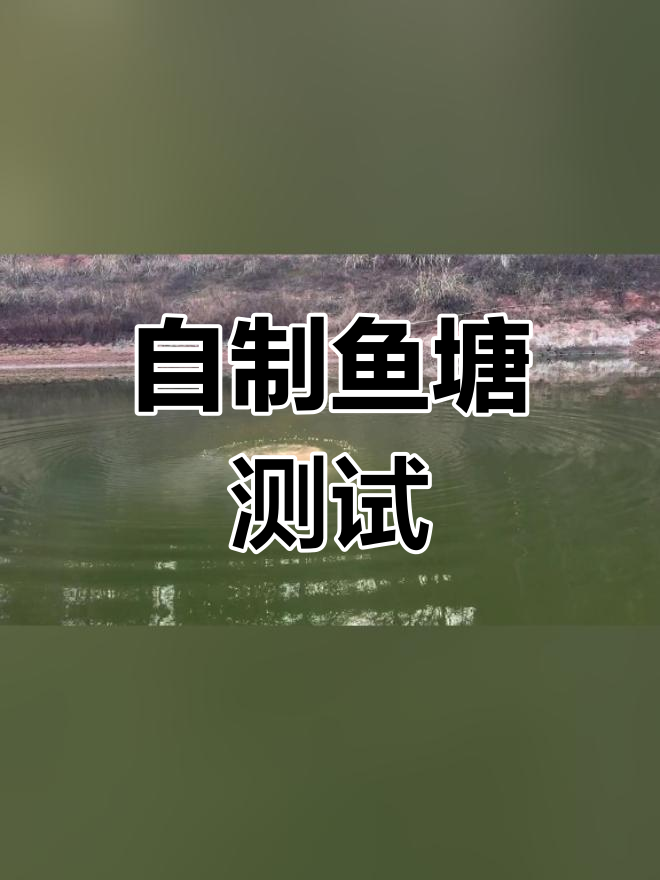 自家鱼塘试威力,炸鱼行为不可取