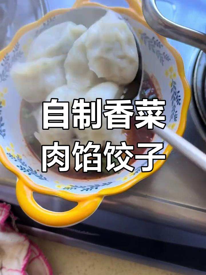 香菜猪肉饺子,酸汤搭配更美味