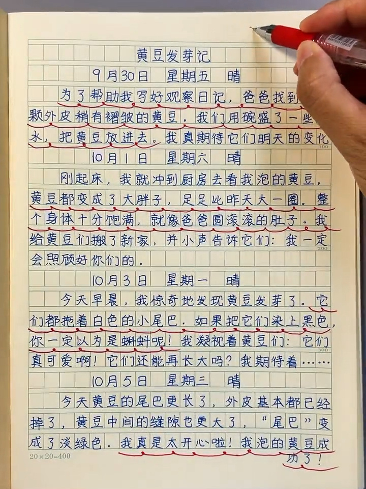 四年级 第三单元《写观察日记》优秀范文