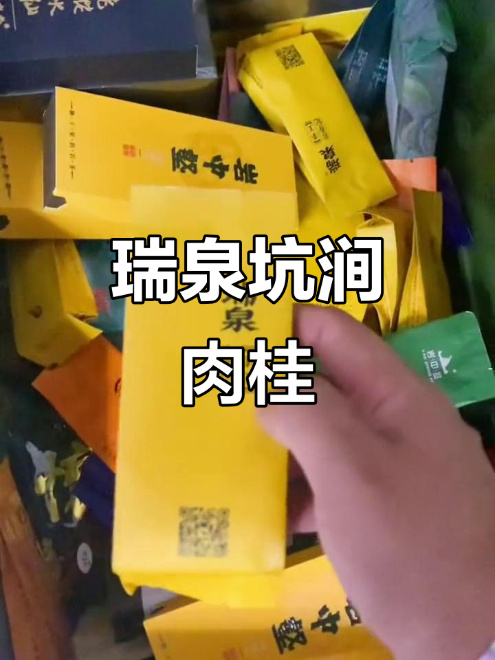 瑞泉坑涧肉桂:武夷岩茶的独特魅力与日常品鉴
