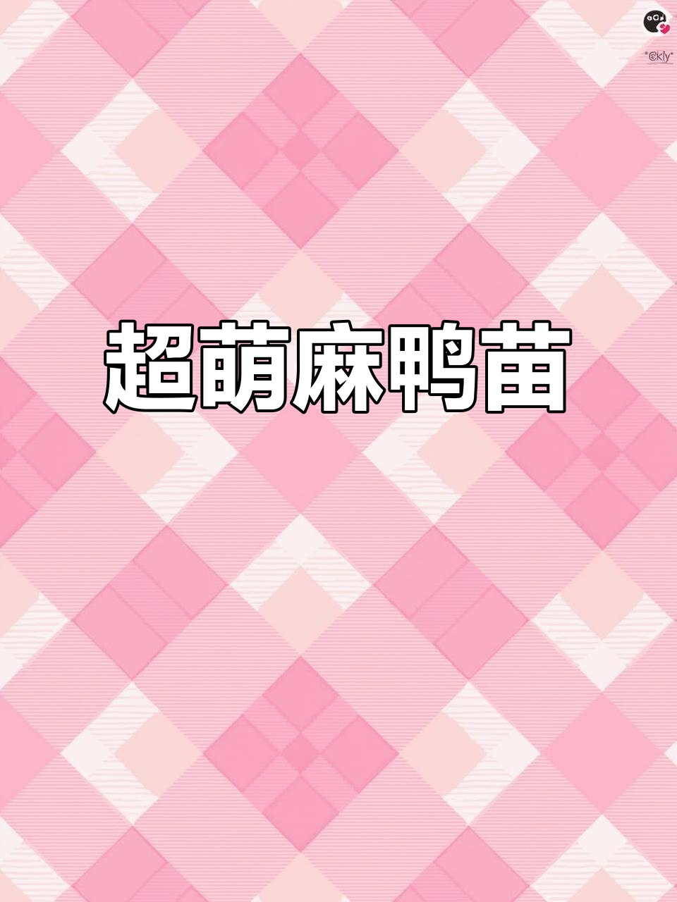 广西玉林麻鸭苗,1斤56两超可爱,养殖日常大揭秘