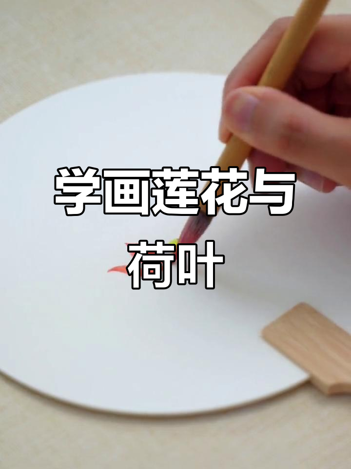 古风扇子画法全解析,画出莲花与荷叶的生动画面