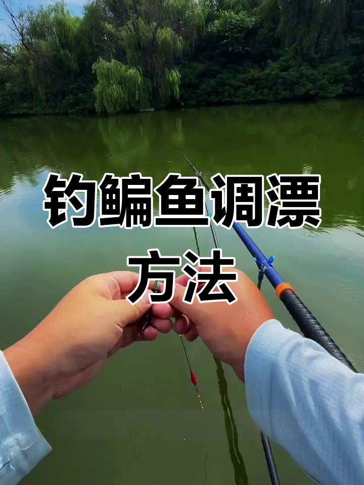 钓鳊鱼调漂技巧大揭秘,如何调整钩距和浮标深度