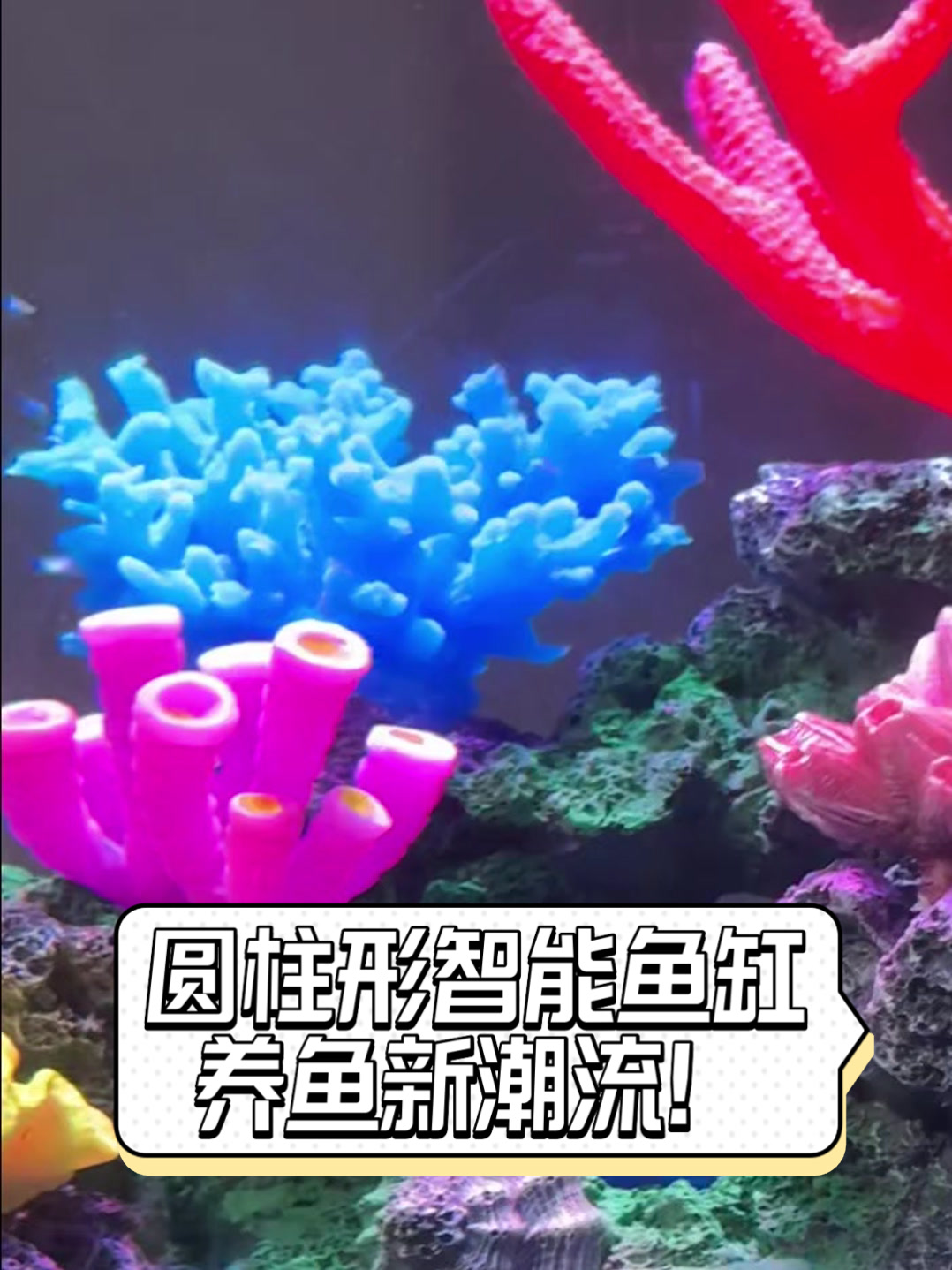 圆柱形智能鱼缸,养鱼新潮流!