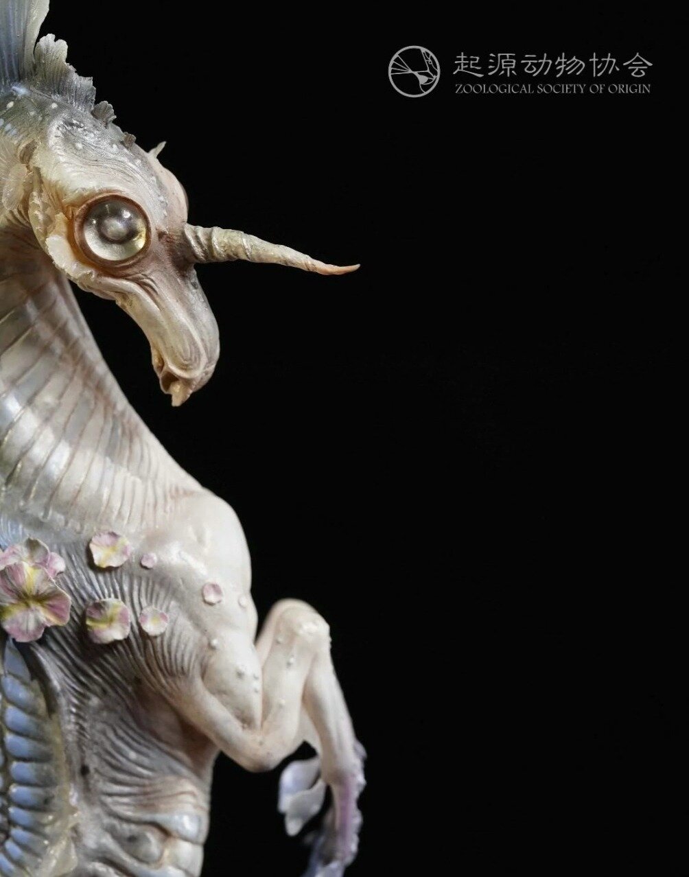 「起源动物协会」独角海马兽