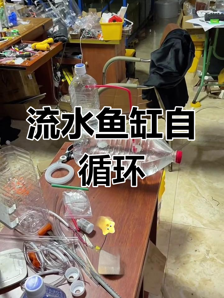 水流不息,鱼缸自循环系统打造生态水景
