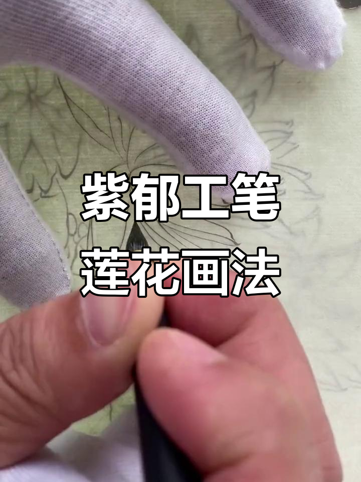 工笔画莲鱼图技巧解析,紫郁工笔技法揭秘