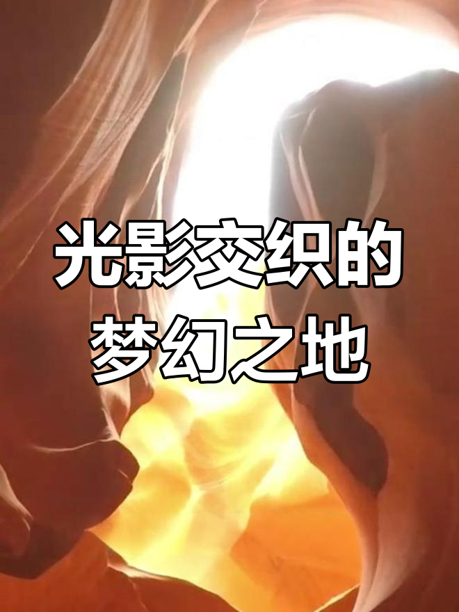 云南苍山野鸡为何不开屏?