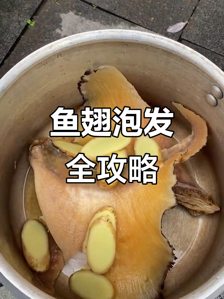 鱼翅泡发技巧大揭秘，轻松去沙洗净