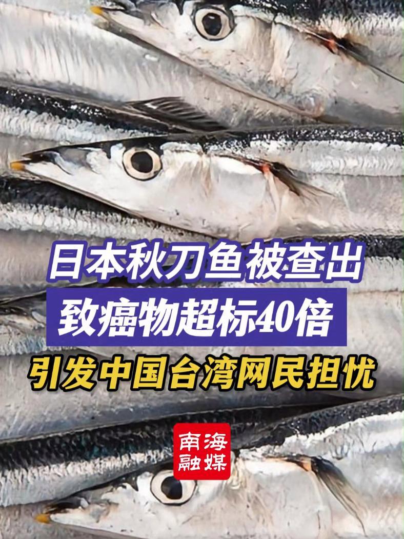 日本秋刀鱼被查出致癌物超标40倍,引发中国台湾网民担忧 日本秋刀鱼 进口食品 日本核废水 