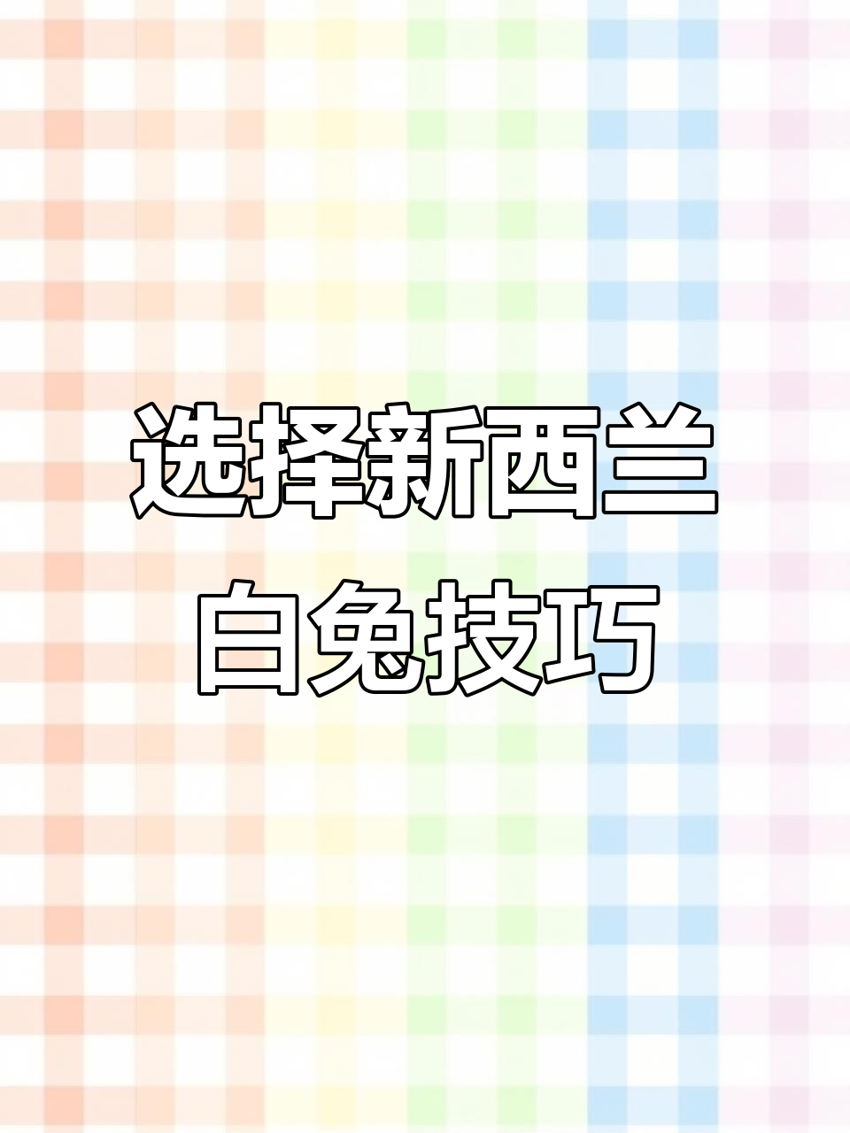新西兰兔品种选择指南:从红棕色到白色,如何挑选最适合的肉兔