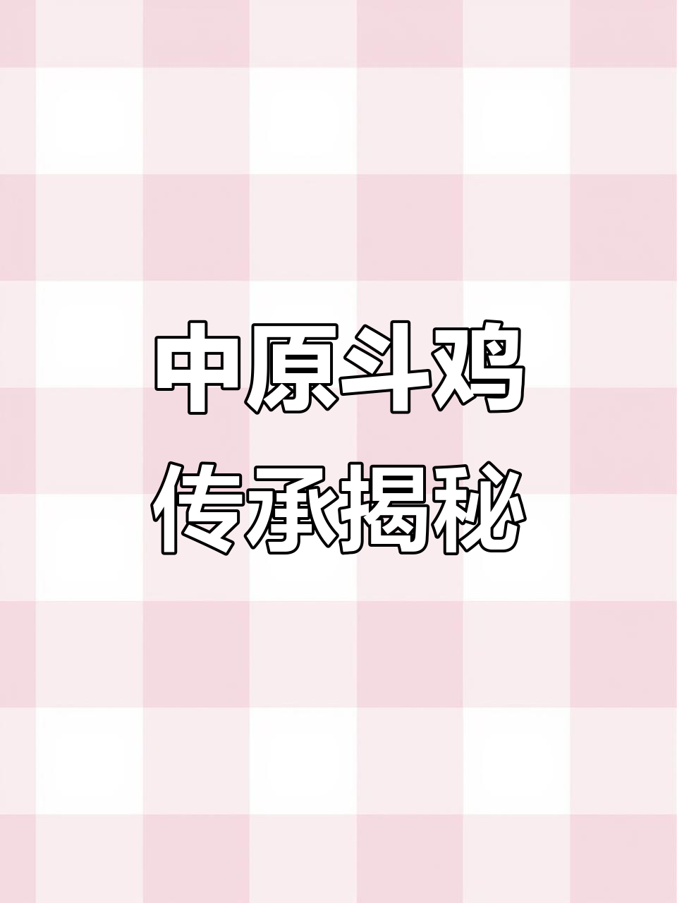 开封中原斗鸡文化传承,凯盛的坚守与发扬