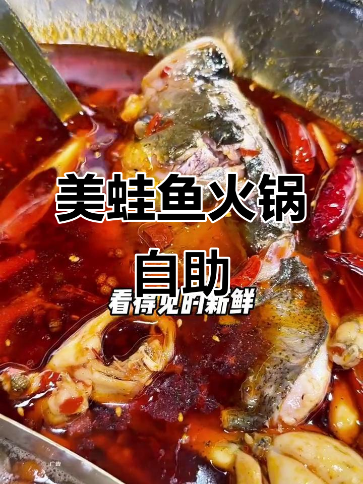 广州江南西新开火锅店,美蛙鱼头自助让你一次吃个够