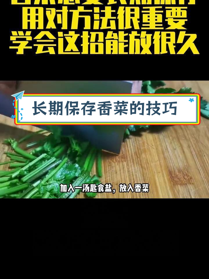 香菜保存有妙招,冷冻干燥都能行
