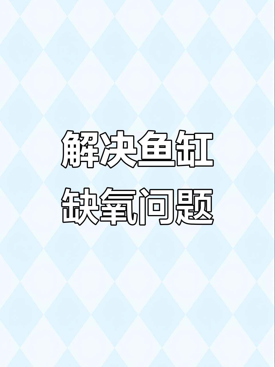 鱼缸缺氧怎么办？这3个方法快速解决