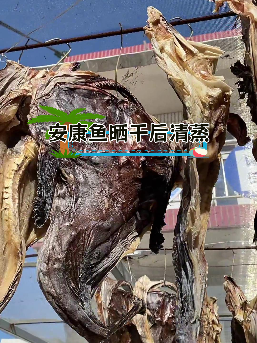 干安康鱼泡发清蒸,蒜泥芹菜大葱拌食
