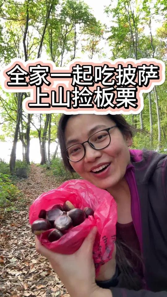 满山遍野的板栗成熟啦!我们一年一度的捡板栗日子,还做了好吃的披萨,今天视频太长,下半部分还
