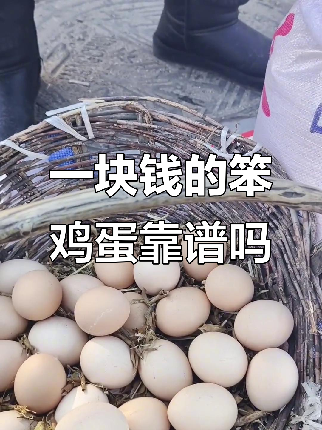 农村笨鸡蛋大揭秘，一块钱一个真能赚到吗？