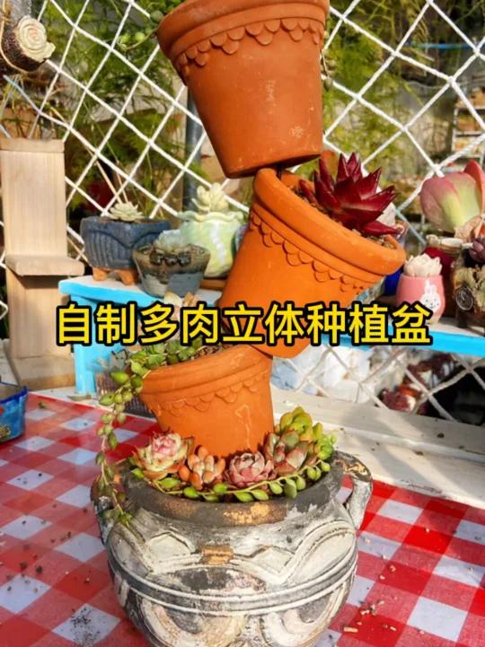自制多肉立体种植盆