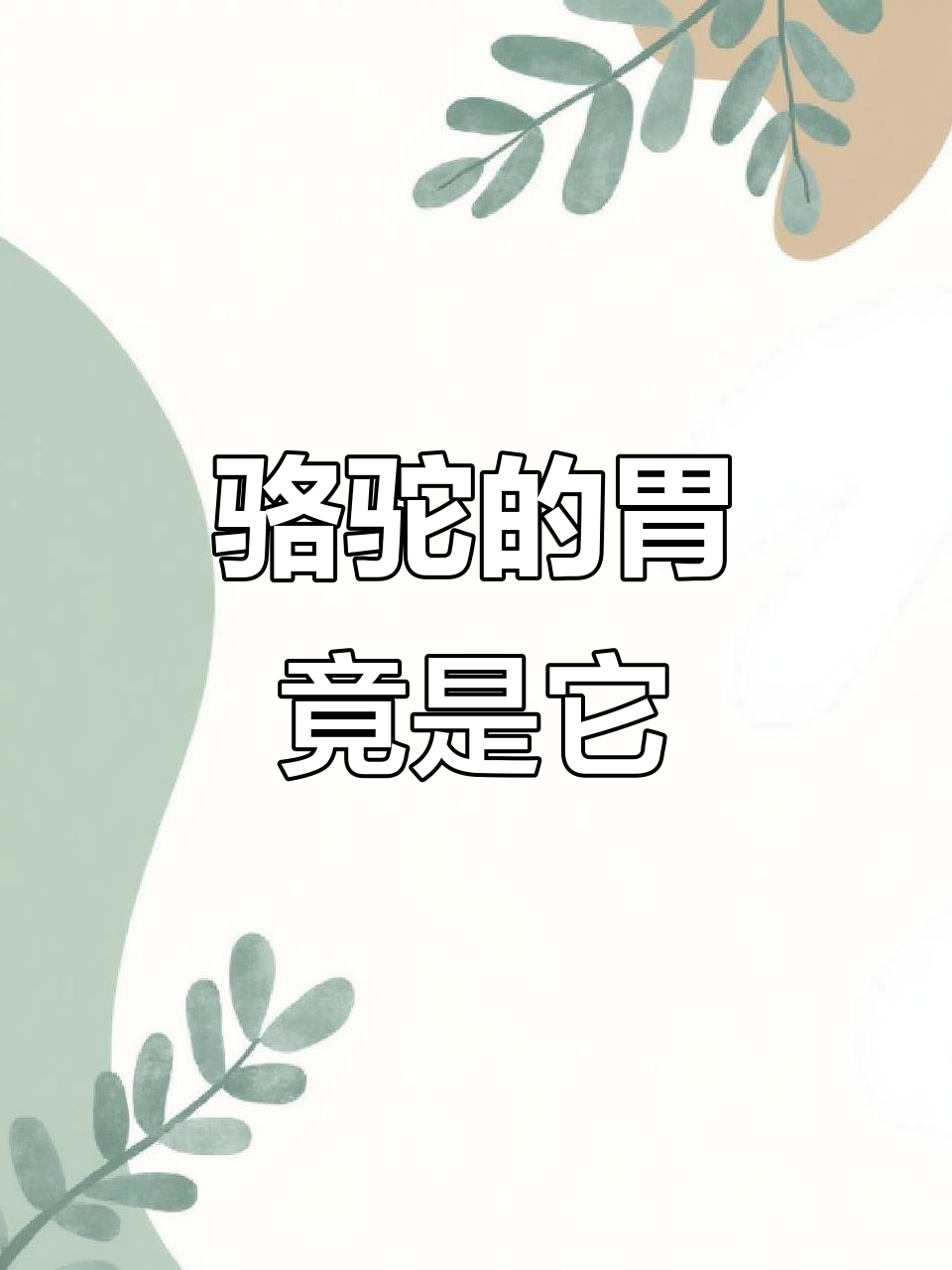 骆驼嘴里的神秘肉球,竟然是这种作用!