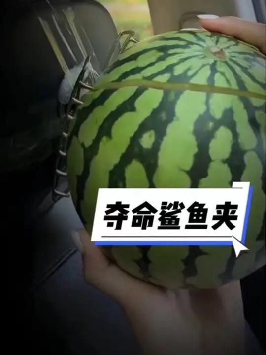 女生开车的三大隐患,鲨鱼夹算一个,其他两个是什么?鲨鱼夹伤人事件 戴鲨鱼夹开车的危害