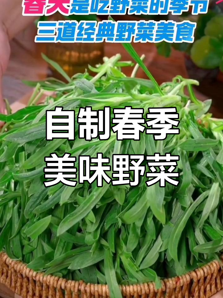 春天必吃野菜美食,简单又营养的毛毛柳做法
