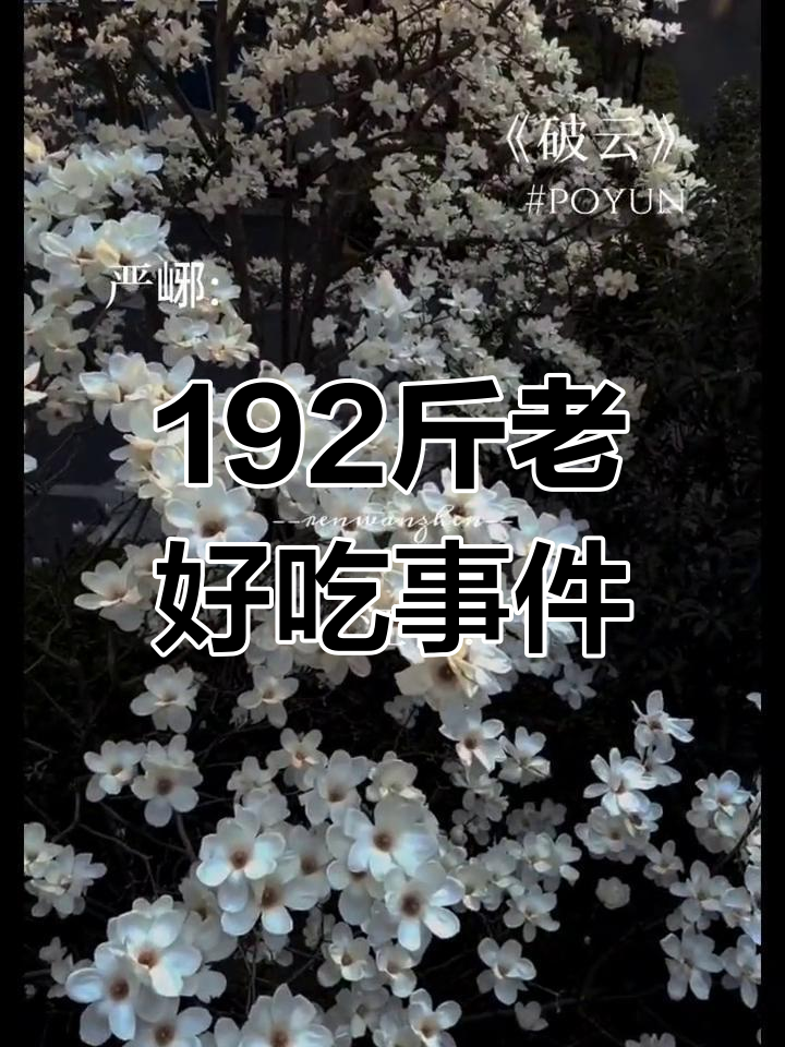 江停严峫破云广播剧