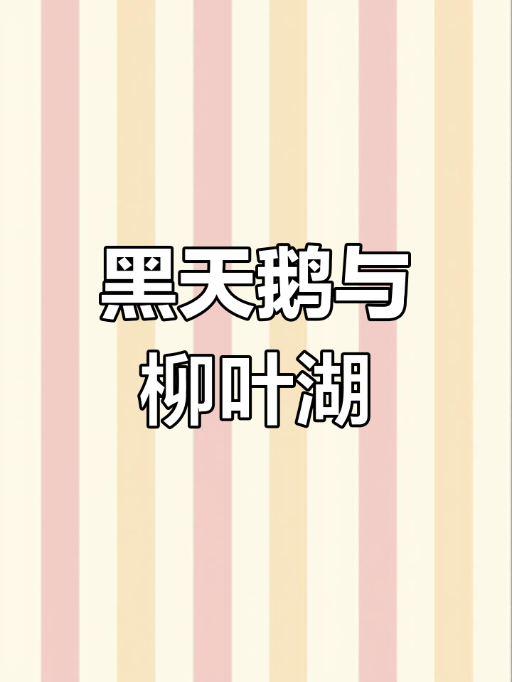 儿童国画：从黑天鹅到柳絮飞舞的湖面