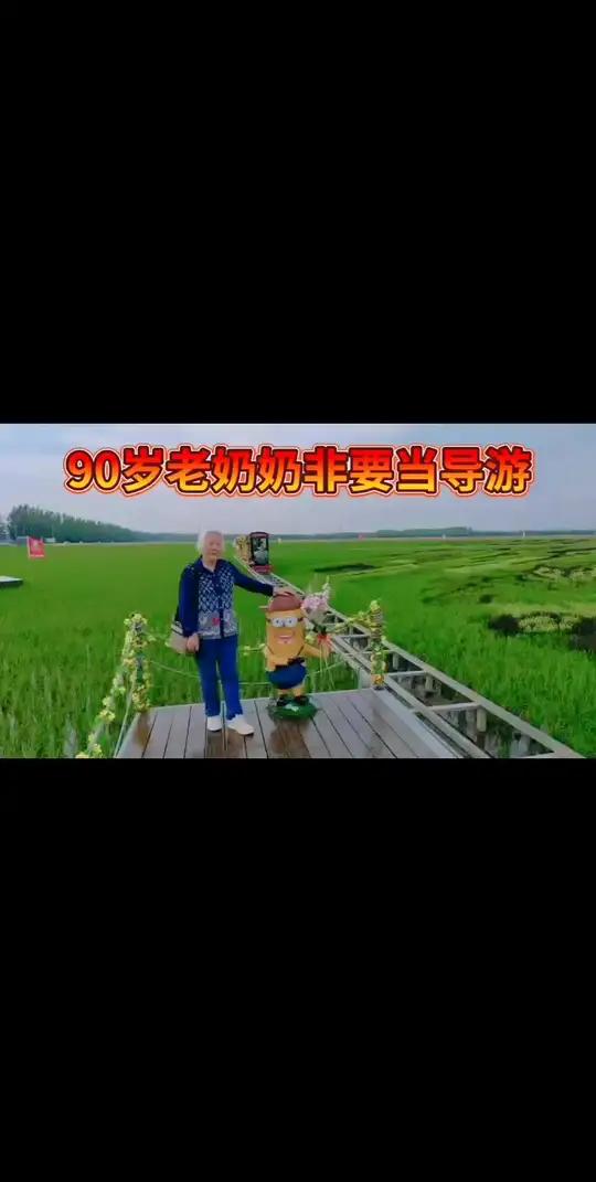 90岁的老奶奶给您介绍稻田画里面的网红蒸汽稻田小火车