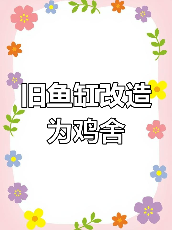 废鱼缸变鸡舍,轻松打造家庭微型养鸡场