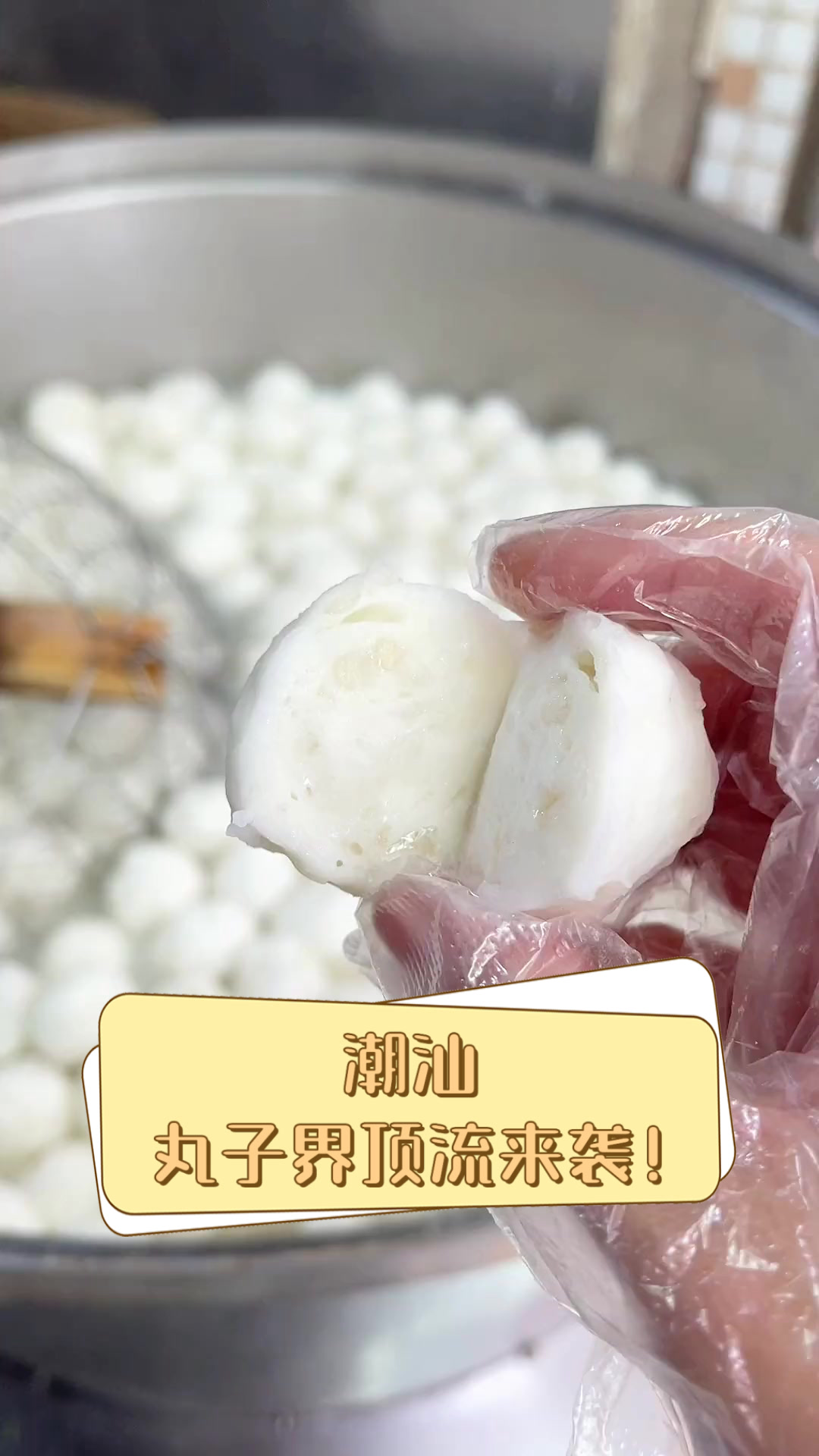 潮汕,丸子界顶流来袭!