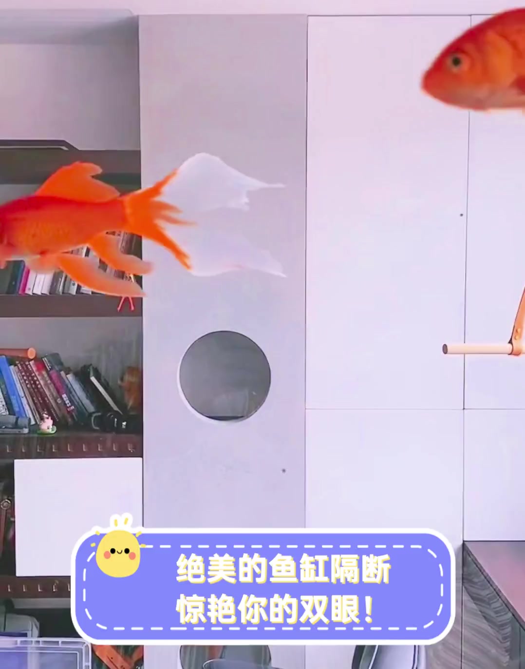 绝美的鱼缸隔断,惊艳你的双眼!