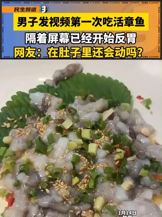 男子发视频第一次吃活章鱼,隔着屏幕已经开始反胃,网友:在肚子里还会动吗?