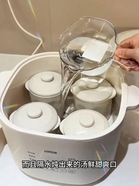 天太热不想炒菜，我就用这个隔水炖盅一锅出，有汤有菜也有饭，不用开火，太方便了 隔水炖盅电炖