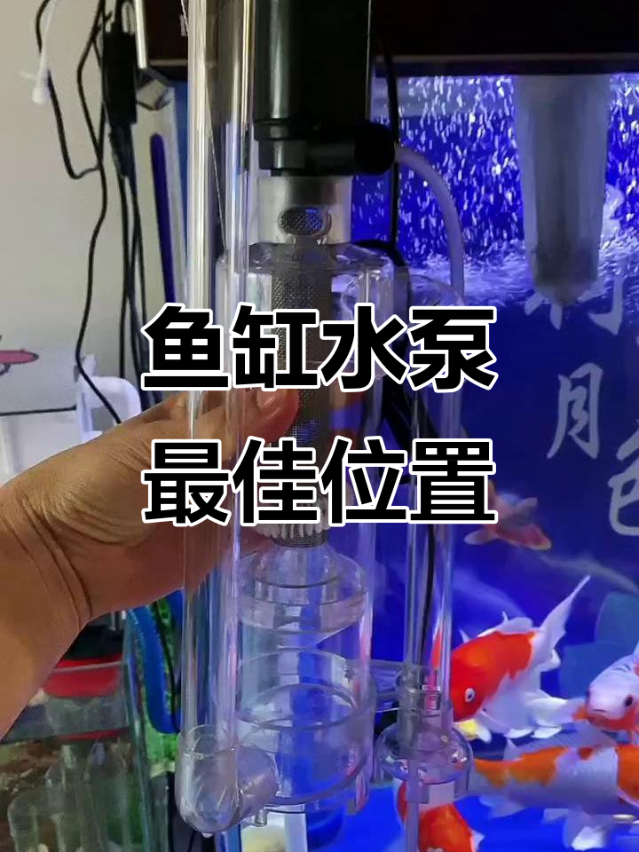 上滤与下滤鱼缸水泵安装技巧,让养鱼更轻松