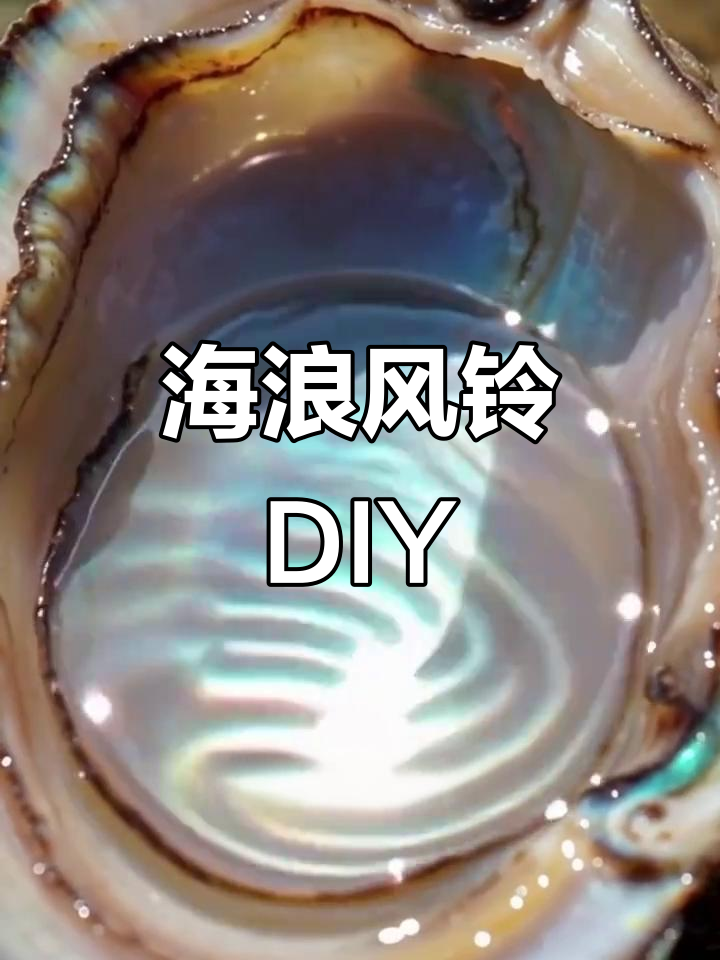 废弃鲍鱼壳变废为宝,手工风铃让海洋浪漫触手可及