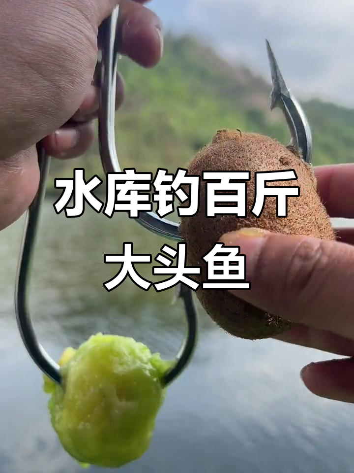 挑战百斤大头鱼,水库钓鱼极限操作