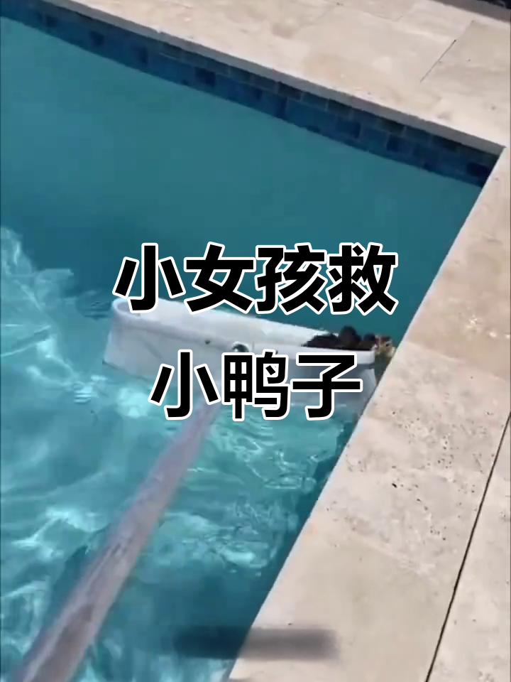 女孩勇敢救助鸭妈妈和小鸭子,成功解困!
