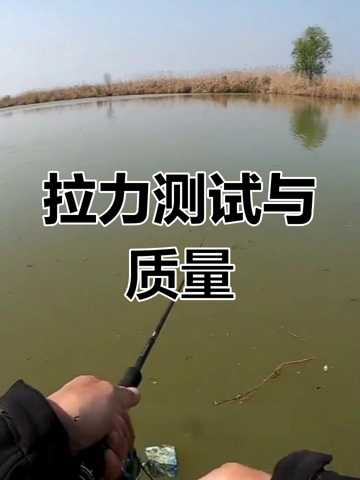 鱼线一拉就断,正常吗?