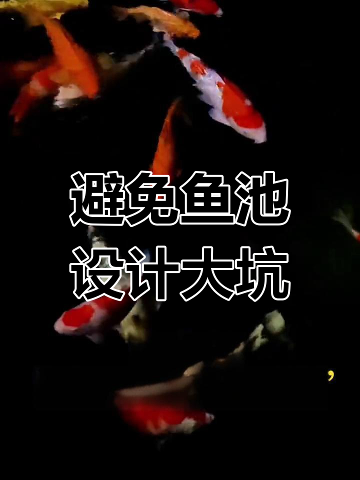 鱼池设计三大禁忌,防水、过滤和风水都得注意!