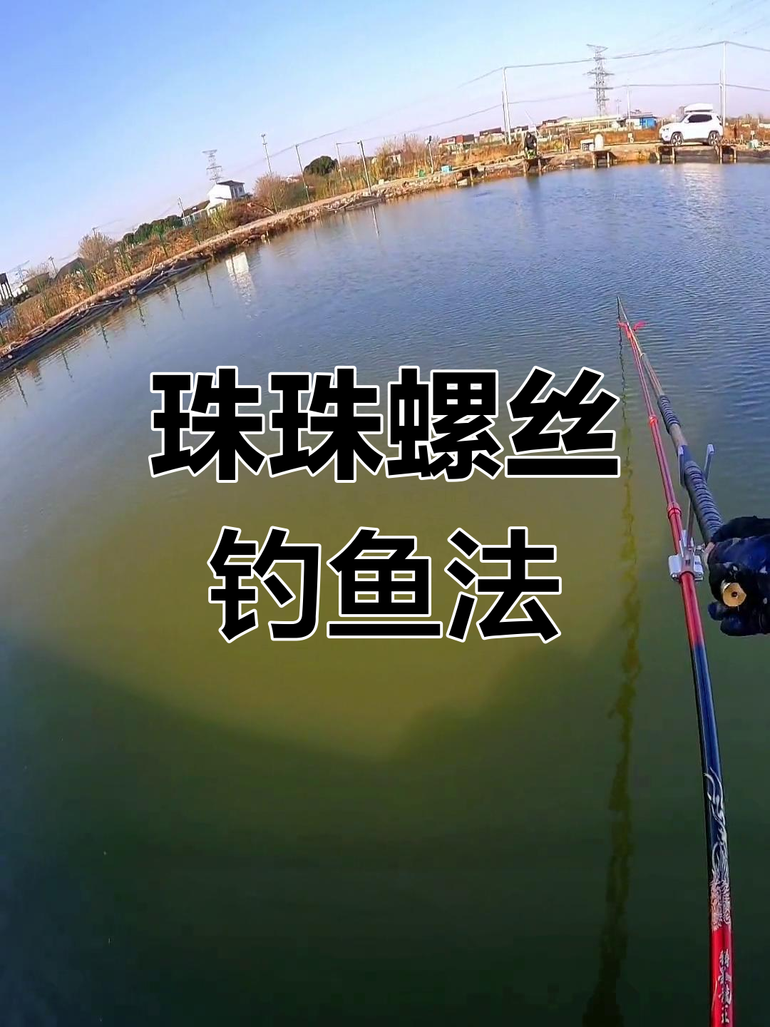 黑坑钓青鱼技巧:珠珠与螺丝双钩搭配解析