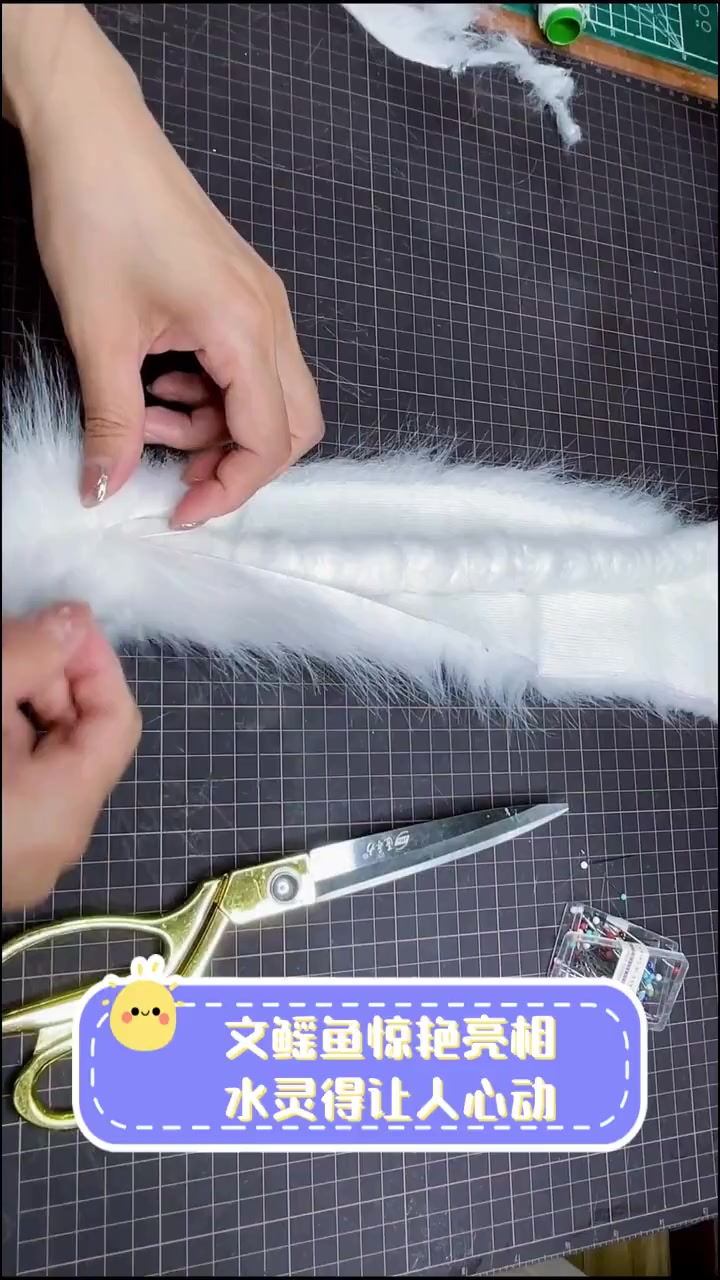 文鳐鱼惊艳亮相,水灵得让人心动
