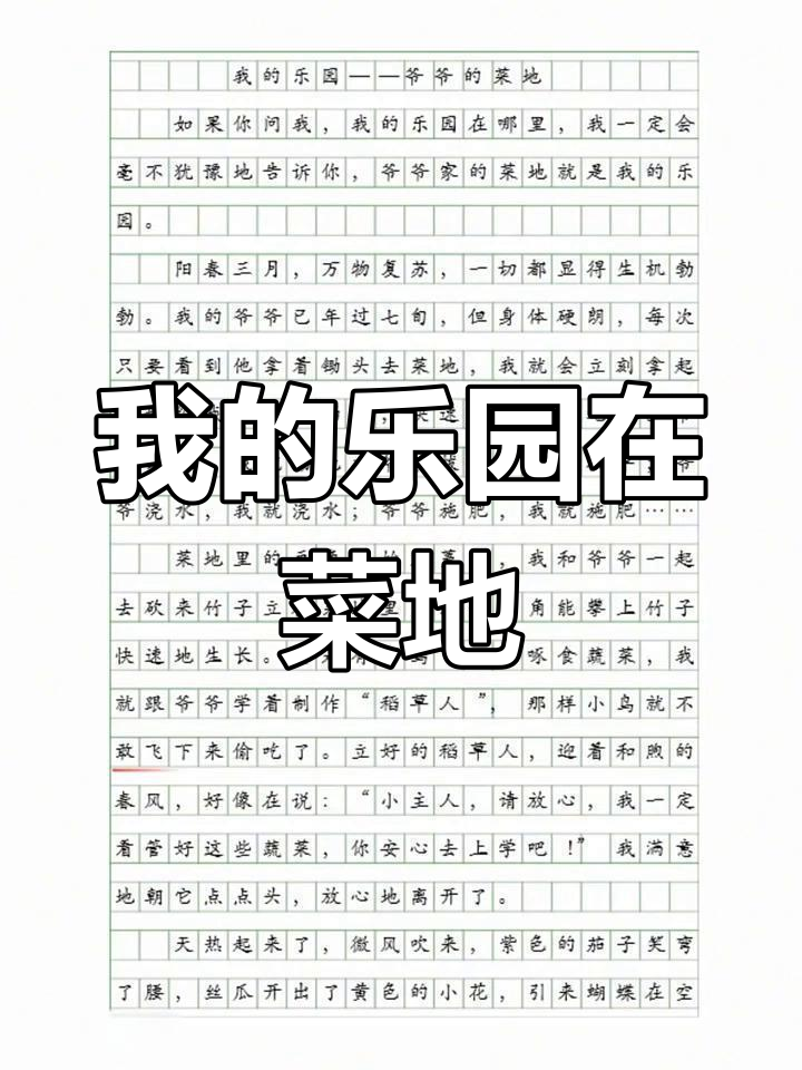 我的乐园:爷爷的菜地,我和小鸟的故事