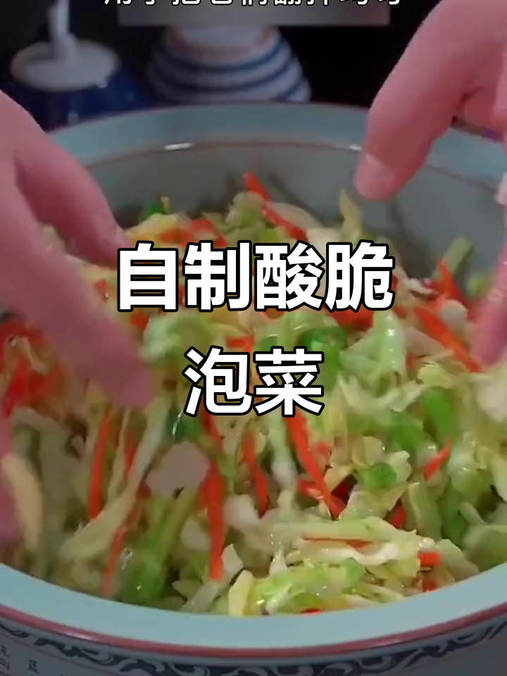 四川小师傅教你做乳酸菌泡菜,简单又美味