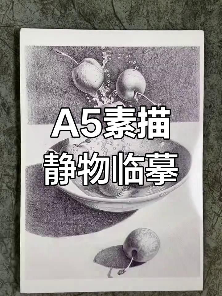 素描静物临摹卡,30张A5尺寸让你轻松掌握技巧