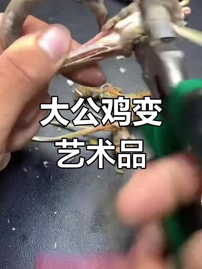 5800元买的大公鸡,竟能盘出如此精美工艺品