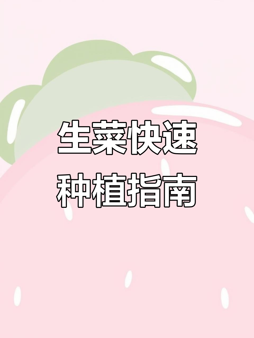 夏季必备生菜，轻松种植又减脂，颜值超高可做绿植